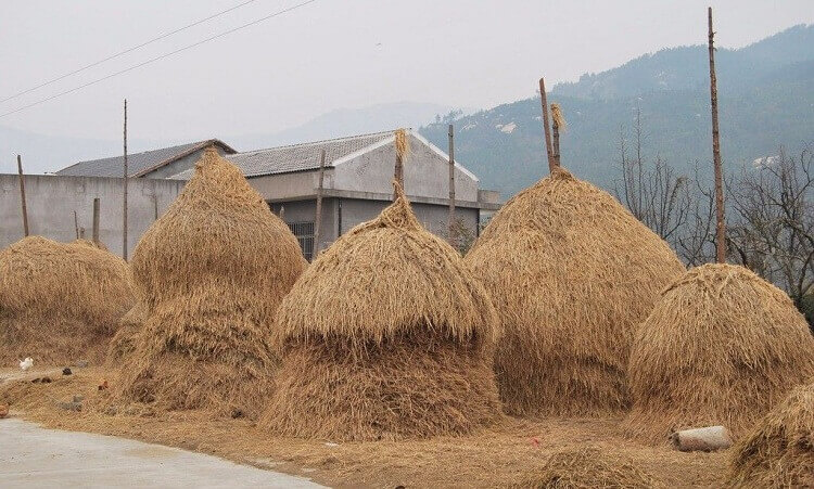 利用稻草秸秆制作天然有机肥的方法